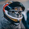 catuno0