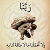 user16704662947714