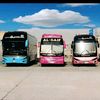 Quatte All Buses