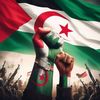 walid31561