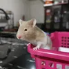 konichiwa_85