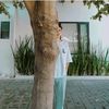 nuansa_plantsbar