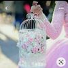qaim1234567891011