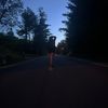 gracie_king13