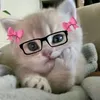 itsme_junhee