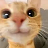 hzee_rriv