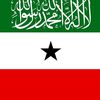 najmaqali34