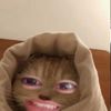 miya.maisyara