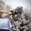 K9_DOGS