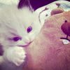 fizah_555