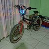 redterktktkt