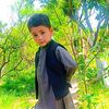 saeed.khan8673