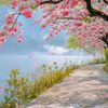 myat.noe.wai6740