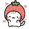 _paa24