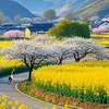 huyn.trang3234