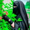 user8600066528718