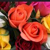 beautywoman_77