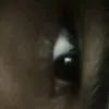 .ppollar