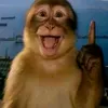 dwngpmdnnhung_1101