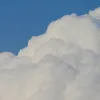 bonghoavang0