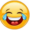 Funny animals