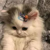 zainabsfab