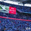 leo.ccfc