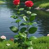 nadeem.khan8733