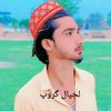 sharali4581