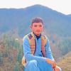 zeddi.1122