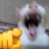 sofa_lelele0