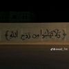 rasha4578