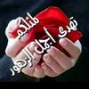 abo.ahmed5058