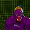 ollie_vr247
