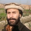 sajjadah233