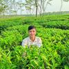mohimhere