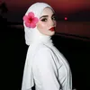 zi.ernv