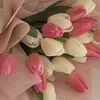 teresa.sorci2