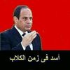 user5674005985710
