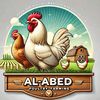 elabd333