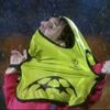 seth.zzz1x_f.e.s