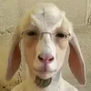 damepan.com75