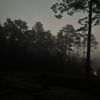 .daufuel