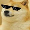 doge__kid