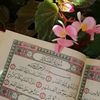 basmala00688