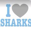 seasharks.babe