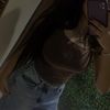secrett_brun