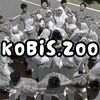 kobis zoo
