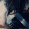 atunahn