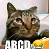 xannnkucing